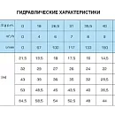 Горизонтальный многоступенчатый насосный агрегат SAER OP 40/2, 230В. Дополнительное изображение 1
