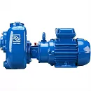 Самовсасывающий насос Varisco JE 2-100 G10 NT20. Дополнительное изображение 3