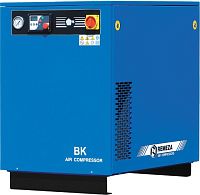 Винтовой компрессор Remeza ВК15Е-8 (миниатюра)