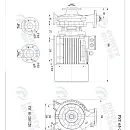 Консольно-моноблочный фланцевый насос PSTG 65-250/220 (N). Дополнительное изображение 2