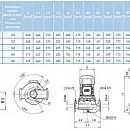 Циркуляционный насос In-Line SAER L-2P 50-250N-220. Дополнительное изображение 3