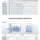 Поверхностный насос Purity PSTC 32-125/7 (N). Дополнительное изображение 2