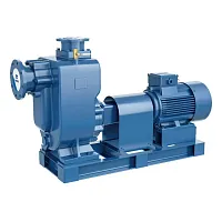 Самовсасывающий насос на раме PURITY PZWM 50-20-15/2 (миниатюра)