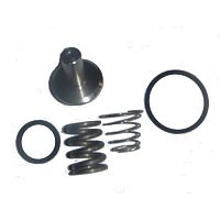 Ремкомплект клапана минимального давления G25F 1" (миниатюра)