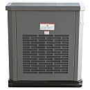 Газовый генератор EVOline GNG 19000 E. Дополнительное изображение 6