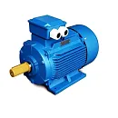 АИР100L2 ЭЛЕКТРОДВИГАТЕЛЬ 5,5/380 для С415М, для головки С415М. Основное изображение