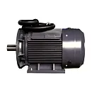 Электродвигатель ET-YE2-90L-6 B35 (1.1 кВт, 910 об.мин., IEC/DIN, IE2, IP55). Основное изображение