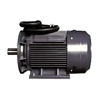 Электродвигатель ET-YE2-80M1-2 B35 (0,75 кВт, 2830 об.мин., IEC/DIN, IE2, IP55) (миниатюра)