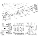 14025260000 Крыльчатка, поз.28.00 Calpeda. Основное изображение