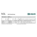 Самовсасывающий насос Calpeda NGL 4/110 230/400/50 Hz. Дополнительное изображение 3