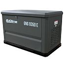 Газовый генератор EVOline GNG 9350E. Дополнительное изображение 1