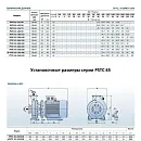 Консольно-моноблочный фланцевый насос PURITY PSTC 65-250/300 (N). Дополнительное изображение 2