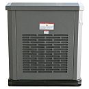 Газовый генератор EVOline GNG 19000 E. Дополнительное изображение 1