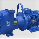 Самовсасывающий насос Varisco JE 2-180 G10 MT20. Основное изображение