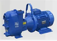 Самовсасывающий насос Varisco JE 2-180 G10 MT20 (миниатюра)