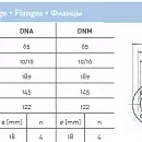Циркуляционный насос In-Line SAER L-2P 65-125-139. Дополнительное изображение 4
