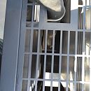 Передвижной компрессор CrossAir Borey 55-7B. Дополнительное изображение 6