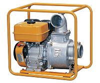 Бензиновая мотопомпа Daishin PTX 401 (миниатюра)