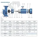 Насос моноблочный в линию PURITY PT 65-140/11. Дополнительное изображение 3