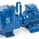 Самовсасывающий насос Varisco JE 3-140 G10 NT20. Основное изображение