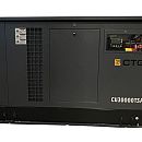 Газовый генератор CTG CU30000TSA. Основное изображение
