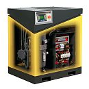 Винтовой компрессор Ingro XLPM 15A 8 бар. Дополнительное изображение 1