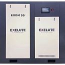 Винтовой компрессор Exelute EXDM 250/12 IP54. Основное изображение
