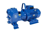 Самовсасывающий грязевой электронасос Varisco JE 2-215 G10 ET20 (миниатюра)