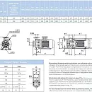 Насосный агрегат моноблочный фланцевый SAER IR 50-315C. Дополнительное изображение 1
