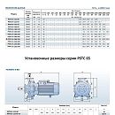 Консольно-моноблочный фланцевый насос PURITY PSTC 65-200/220 (N). Дополнительное изображение 2
