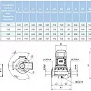 Циркуляционный насос In-Line SAER L-2P 40-250N-220. Дополнительное изображение 3