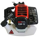 Бензиновый двигатель EVOline 1E36F-2A. Основное изображение