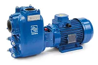 Самовсасывающий грязевой электронасос Varisco JE 2-120 G10 MT20 (миниатюра)