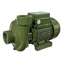 Поверхностный насос Saer BP4 230V. Основное изображение
