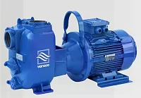 Самовсасывающий грязевой электронасос Varisco JE 3-180 G10 ET20 (миниатюра)
