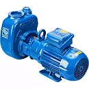 Самовсасывающий насос Varisco JE 2-100 G10 NT20. Дополнительное изображение 1