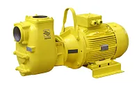 Самовсасывающий грязевой электронасос Varisco JE 4-160 G10 ET20 (миниатюра)