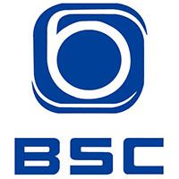 Логотип бренда Baosi