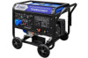 Сварочный генератор TSS GGW 6.0/250D-R
